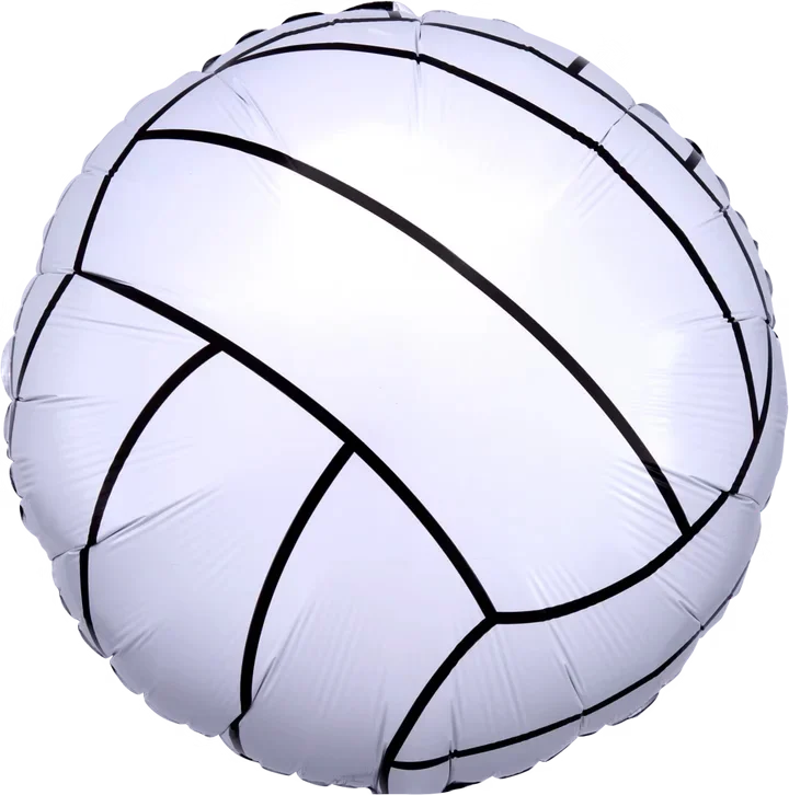 29504 Championship Volleyball 720x