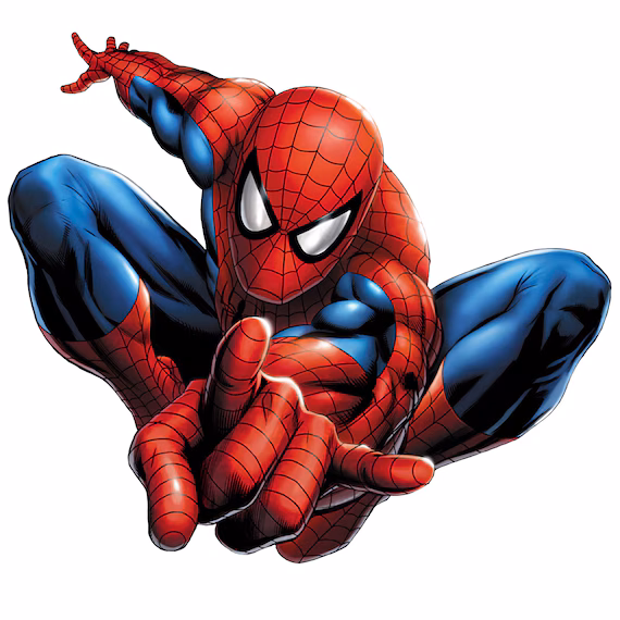 Spider Man Decor