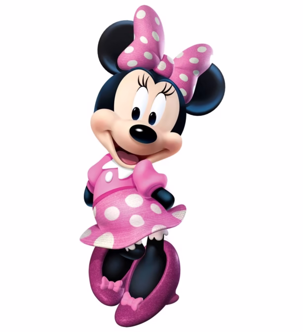 Minnie Mouse Decor