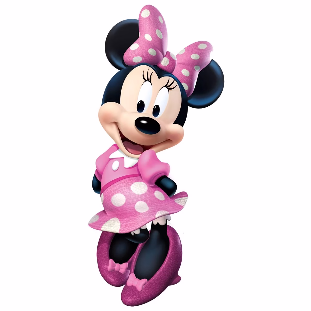 Minnie Mouse Decor