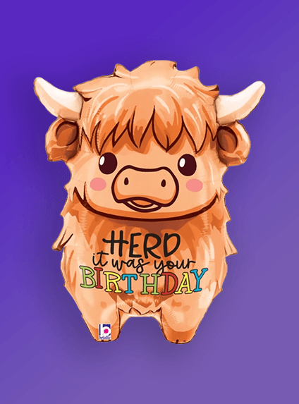 highland cow birthday balloon category box card