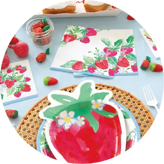 Summer Strawberry Party Supplies Theme