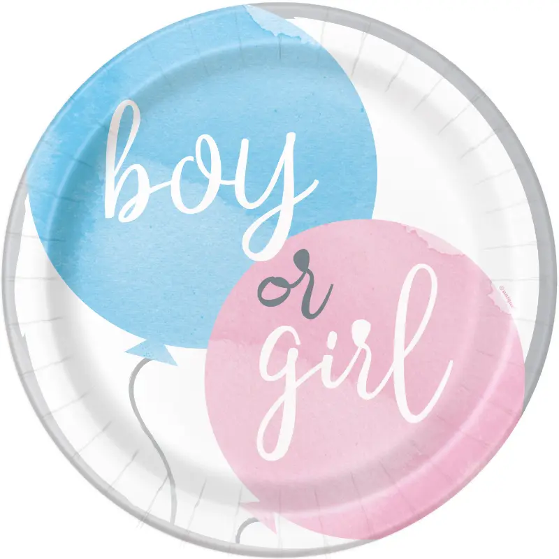 Gender reveal boy and girl plates category image