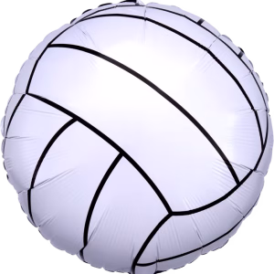 29504-Championship-Volleyball_720x Volleyball